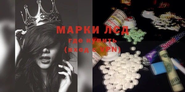 стаф Абинск