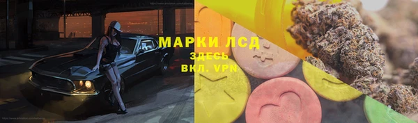 стаф Абинск