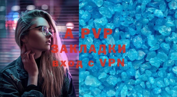 хмурый Абаза