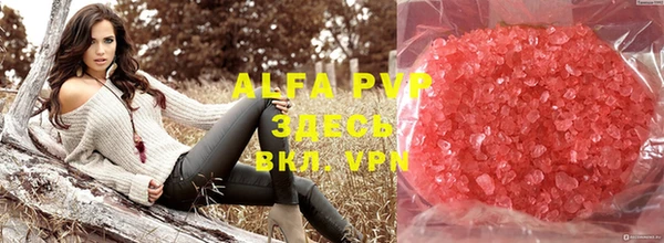 хмурый Абаза