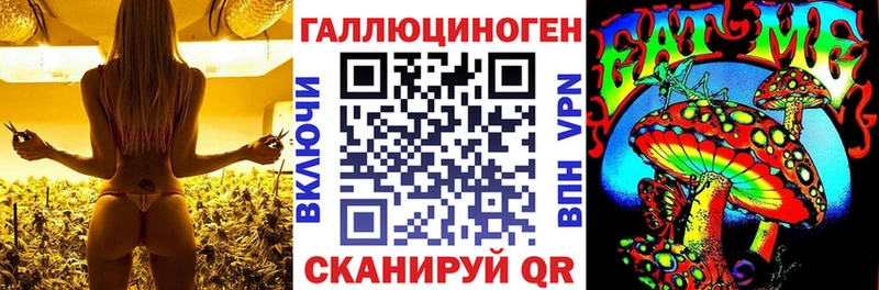 Псилоцибиновые грибы Magic Shrooms  mega ТОР  Елизаветинская 